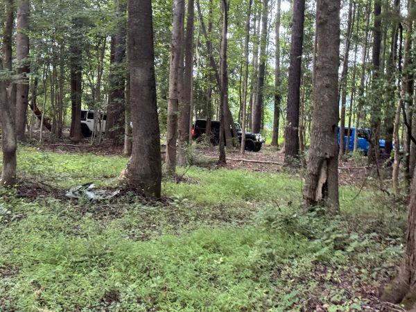 757 Trail Ride - Image 4