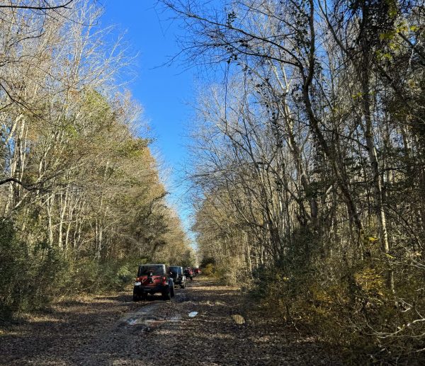 Trail 'N' Treat - 4x4 trail ride - Suffolk, VA - Image 3