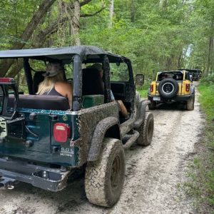 Wheelership Unlimited Subscription