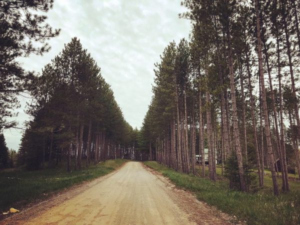 Superior Adventures : Offroad Day Pass - Image 7