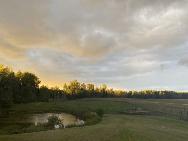 Superior Adventures : Primitive Camping - Image 6