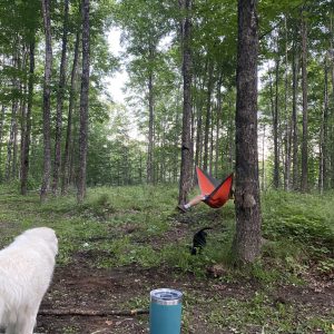 Superior Adventures : Primitive Camping