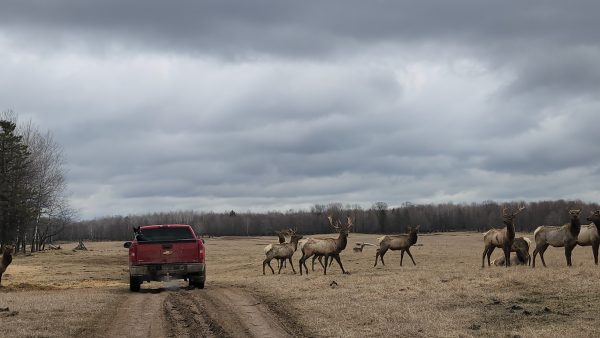Superior Adventures : Weekend Offroad Ticket - Image 8