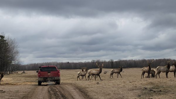 Superior Adventures : Weekend Offroad Ticket - Image 8