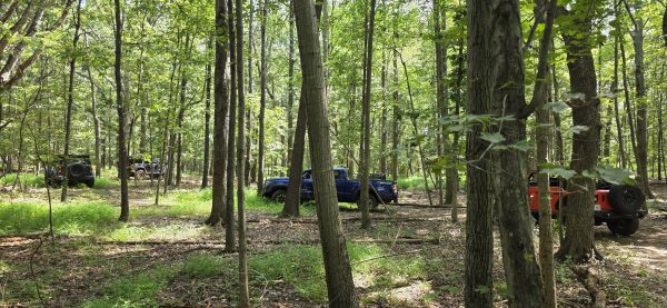 Dobies Run Trail Ride - Image 11