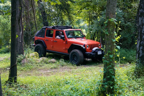 Dobies Run Trail Ride - Image 3