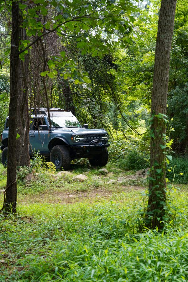 Dobies Run Trail Ride - Image 9