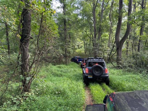 Dobies Run Trail Ride - Image 4