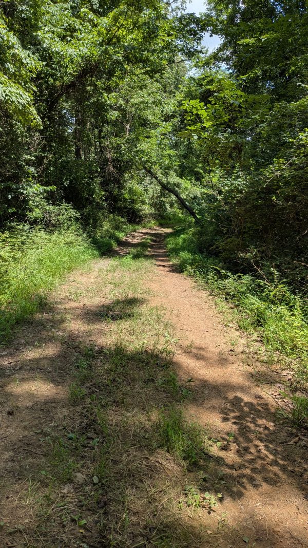 Dobies Run Trail Ride - Image 5