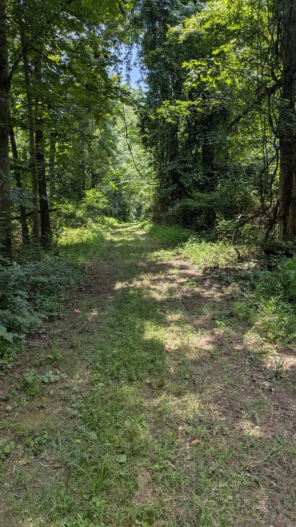Dobies Run Trail Ride - Image 6