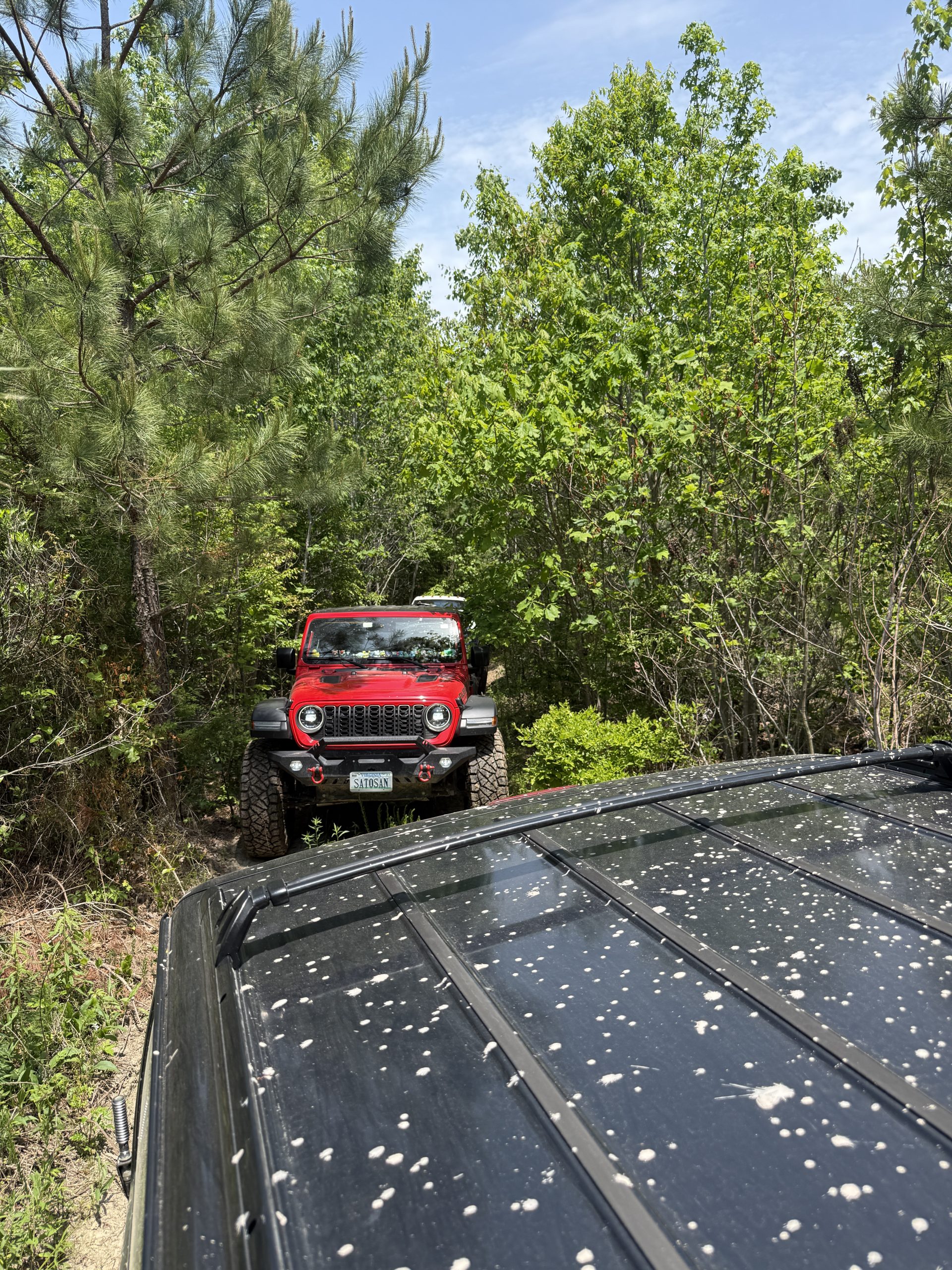 OG Trails @ ORT - RVA - Image 16