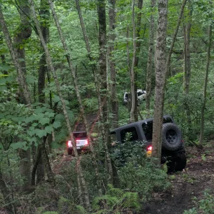 Rover Woods - Charlottesville VA
